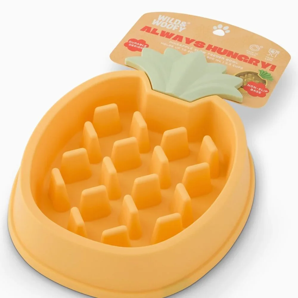 Pineapple Slow Feeder